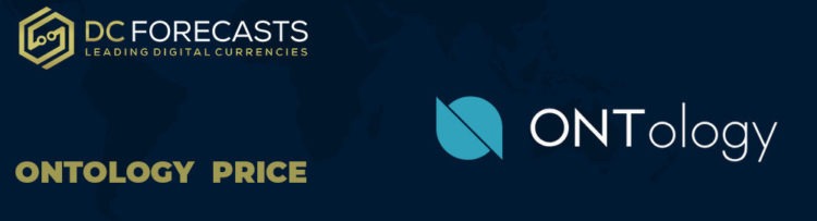 ontology blockchain platform, ont, network