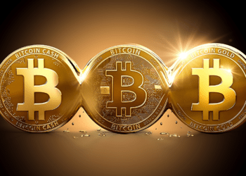 Bitcoin Grows By 5%, btc, price, level, support