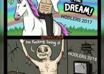 To Cry Or To Laugh: The Best Crypto Memes In 2018