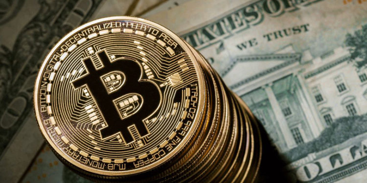 Small Businesses, crypto payments, cryptocurrency, industry, countries