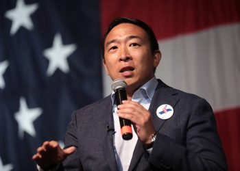 andrew yang runs, mayor, new york, bitcoin, btc