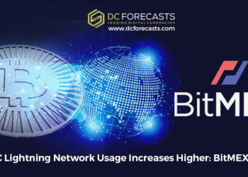 BTC lightning network usage