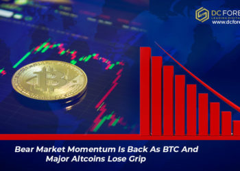 Bear Market|2020 To|2020 To Be