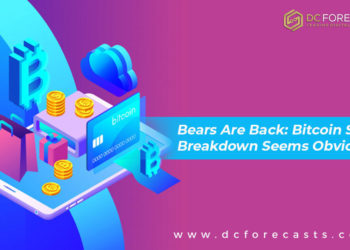 Bears Are Back Bitcoin