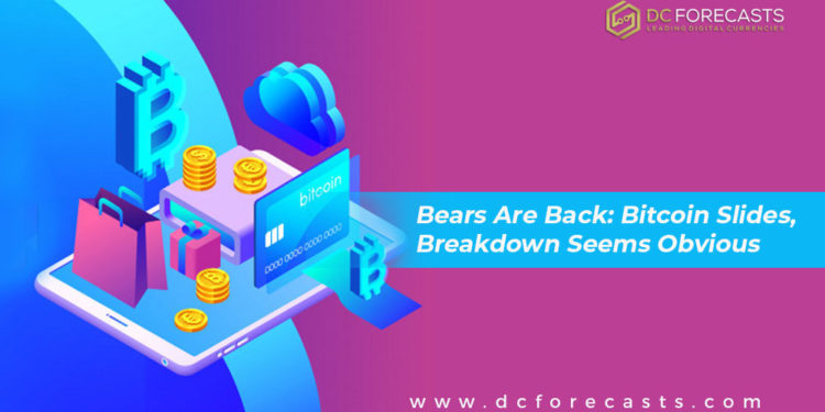 Bears Are Back Bitcoin