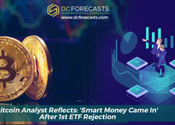 bitcoin analyst reflects|