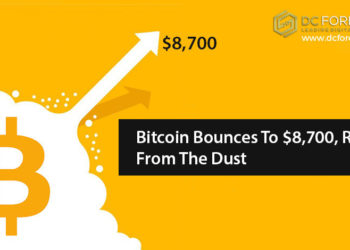 Bitcoin Bounces