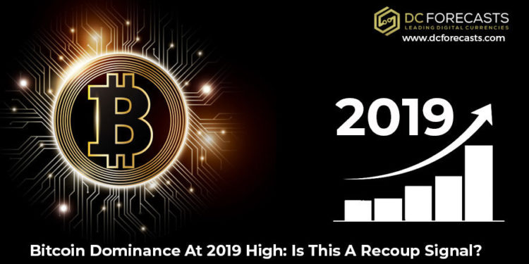 bitcoin dominance at 2019 high