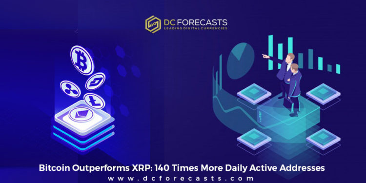 Bitcoin Outperforms XRP|bitcoin ethereum daily active addresses|bitcoin ethereum xrp