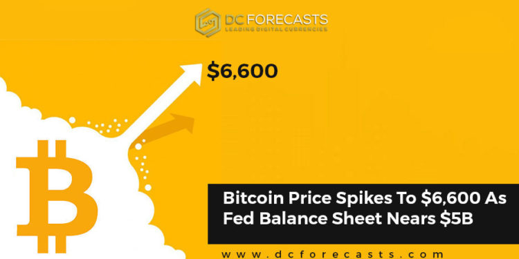 bitcoin price spikes|how to mine bitcoin gold|largest blockchain conference|top trader claims