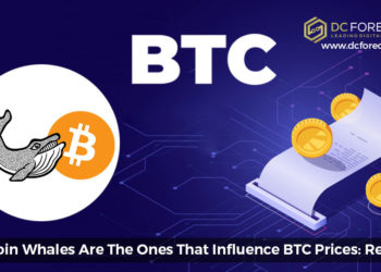 bitcoin whales|a new ripple whale alert transaction single