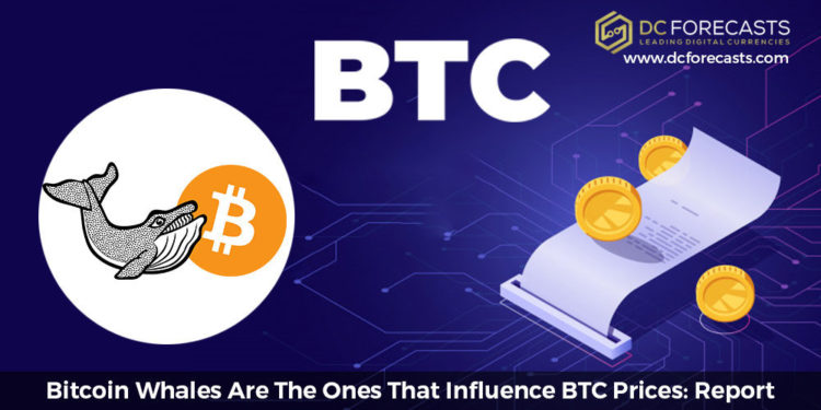 bitcoin whales|a new ripple whale alert transaction single