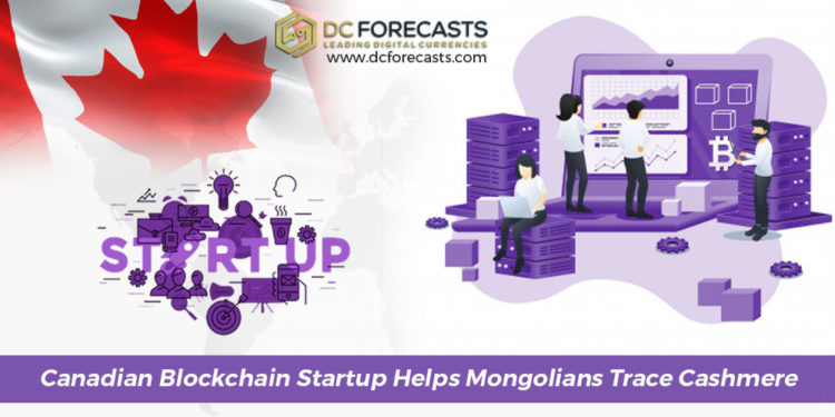 canadian blockchain startup|canadian blockchain startup|canadian blockchain startup