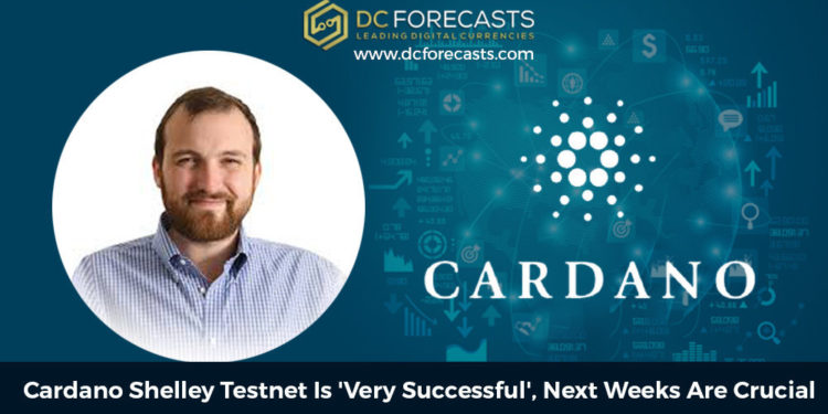 |btc paints|Ethereum Crossed|Ngrave Claims