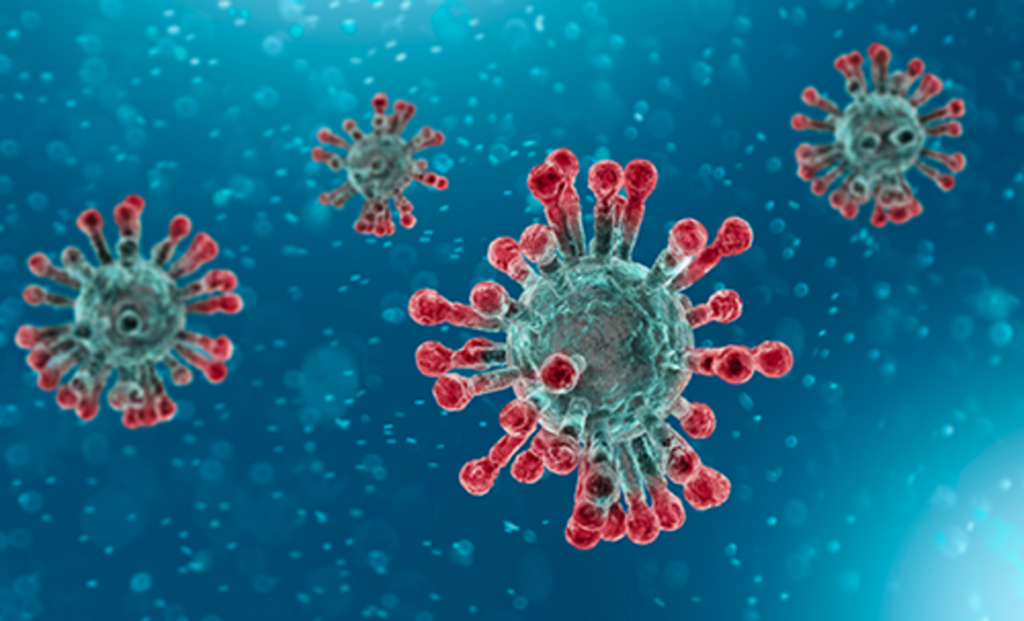 coronavirus