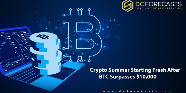 Crypto Summer Starting|Crypto Summer