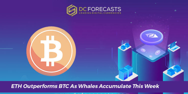 eth outperforms btc|bitcoin and ethereum