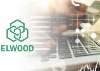 New Blockchain ETF Company Elwood Plans Fresh Crypto Investment Options