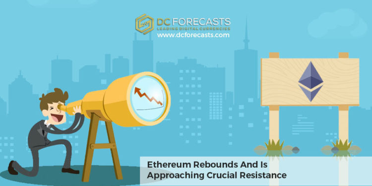 ethereum rebounds
