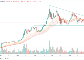 fernando alonso f1 champion