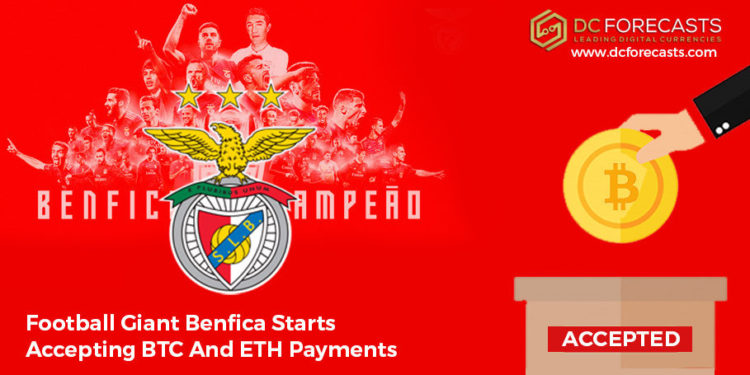 Football Giant Benfica|football giant benfica|football giant benfica|Football Giant Benfica