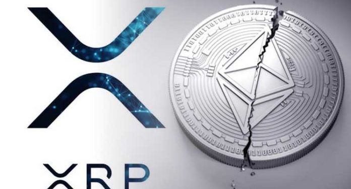 doge and XRP, market, ripple, dogecoin, price