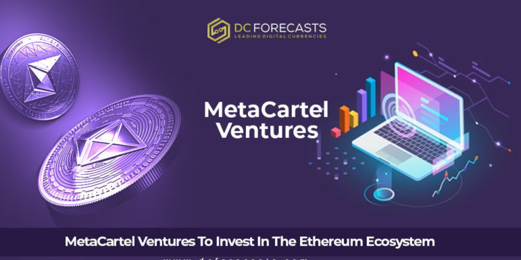 metacartel