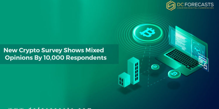 new crypto survey