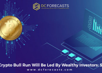 next crypto bull run