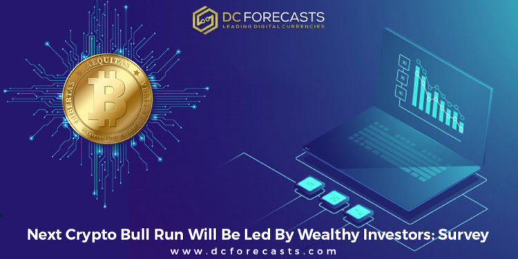next crypto bull run