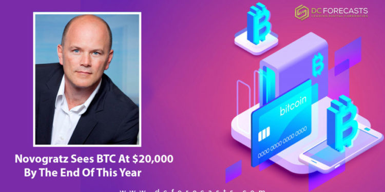 Novogratz Sees