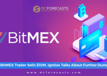 Crypto Newsletter|Crypto Newsletter