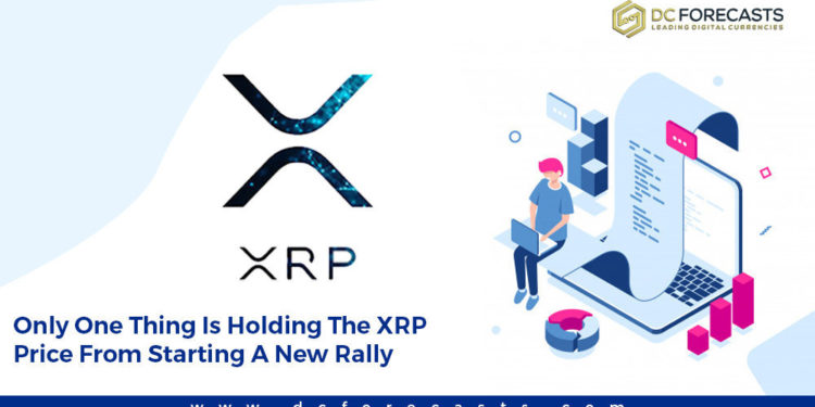 only one thing is holding the xrp|btc hash rate drops again|ethereum 2.0 roadmap