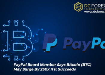PayPal Board|PayPal Board|