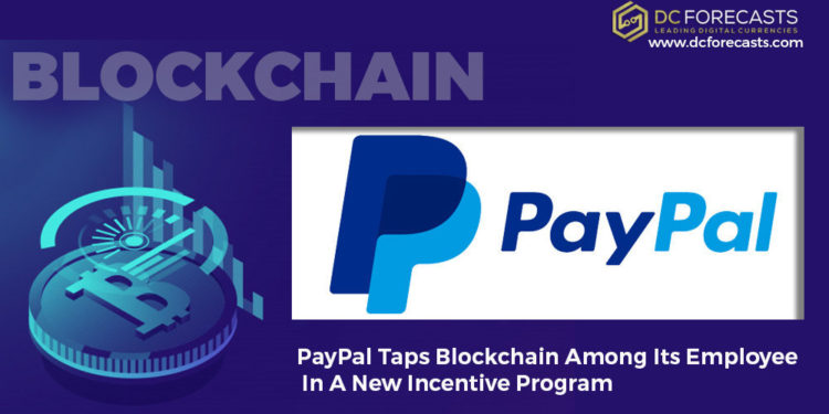 PayPal|PayPal CEO Dan Schulman