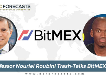 Professor Nouriel Roubini