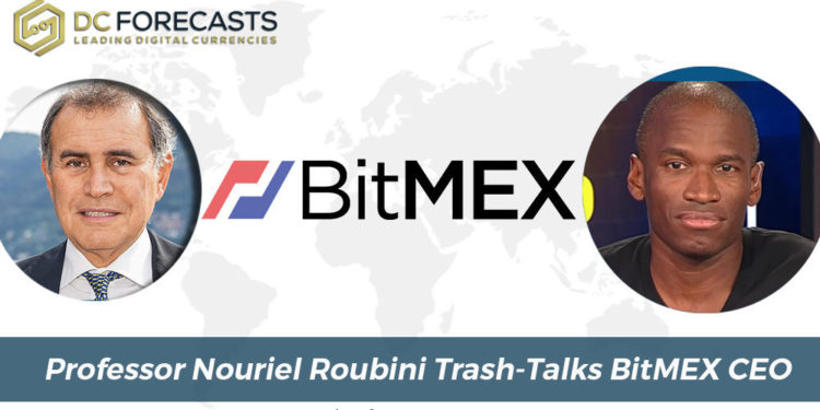 Professor Nouriel Roubini