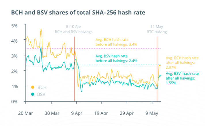 bch bsv hash rate