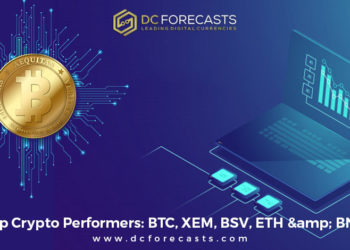 Top Crypto|Bitcoin Bull