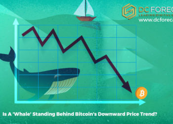 Bitcoin|ethereum whales moving to bitcoin