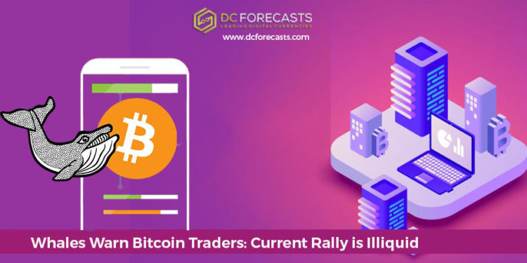 whales warn bitcoin traders||