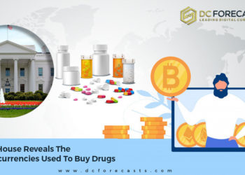 White House|white house