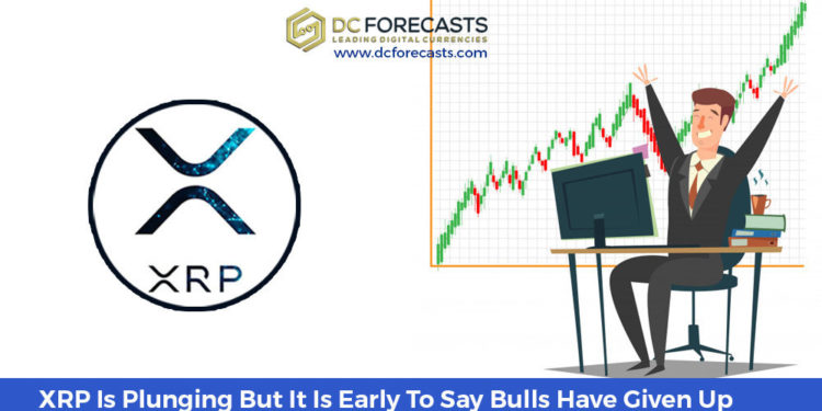 xrp is plunging|cme bitcoin options volume||Mike Novogratz Says