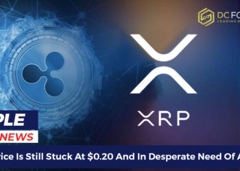 XRP Price Is Still