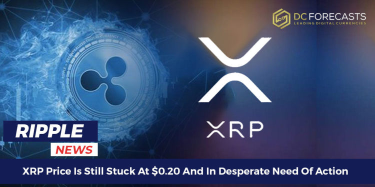 XRP Price Is Still
