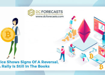 women in crypto|women in crypto numbers|square cash app's|xrp price shows|you can now sign into