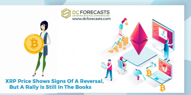 women in crypto|women in crypto numbers|square cash app's|xrp price shows|you can now sign into