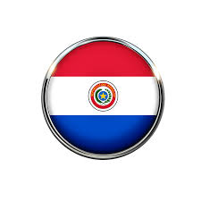 Senate Of Paraguay, regulation, bill, mining, trading  Paraguay’s Senate Passed Bill That Regulates Crypto Mining And Trading paraguay 1