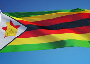 zimbabwe regulation