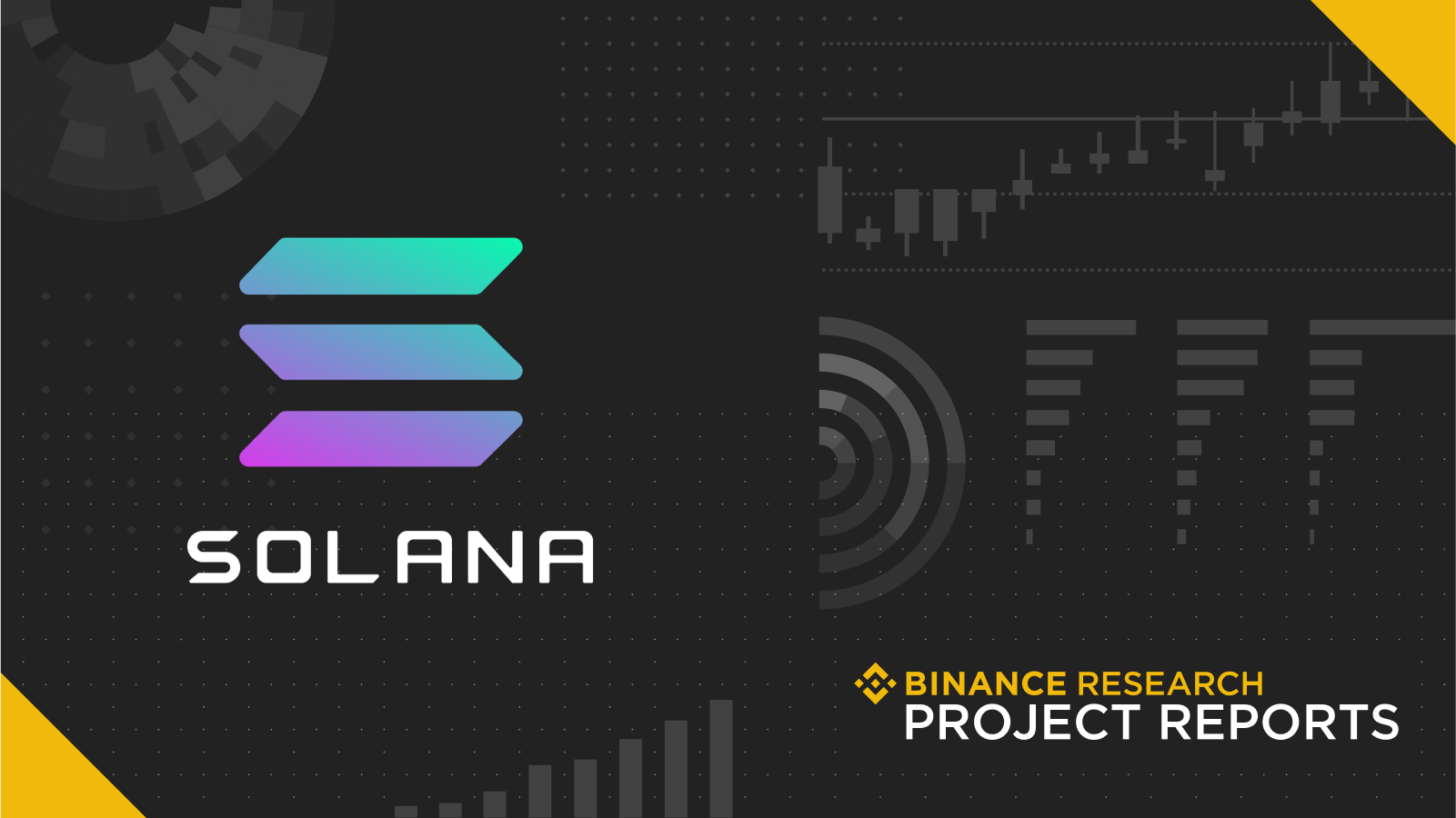 Kin Crypto Explores Moving Away From Stellar To Solana ...